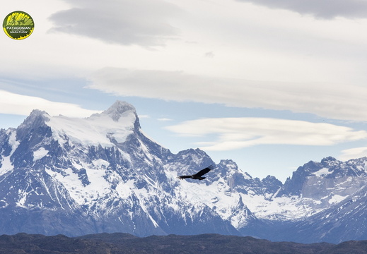 Foto: Patricia Ainol