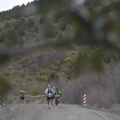 Foto: Guillermo Salgado