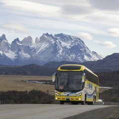 Foto: Patricia Ainol