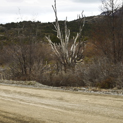 Foto: Alejandro Zoñez