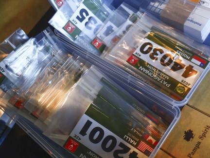 Foto: Alejandro Zoñez