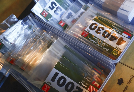 Foto: Alejandro Zoñez