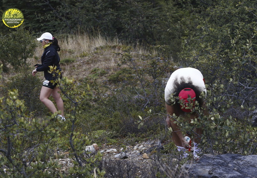 Foto: Alejandro Zoñez