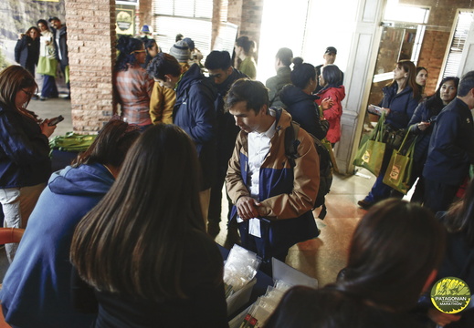 Foto: Alejandro Zoñez