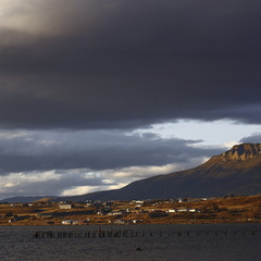 Foto: Alejandro Zoñez