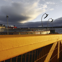 Foto: Alejandro Zoñez