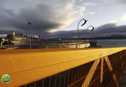 Foto: Alejandro Zoñez