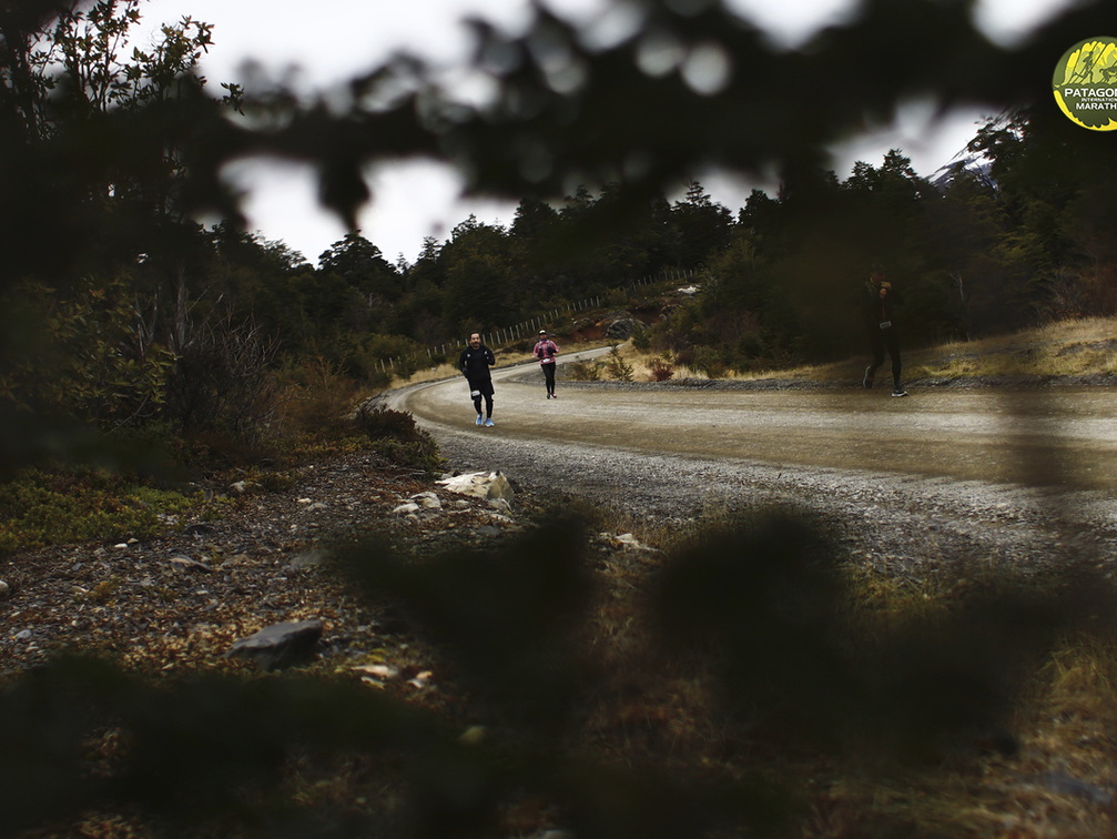 Foto: Alejandro Zoñez