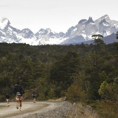 Foto: Alejandro Zoñez