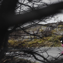 Foto: Alejandro Zoñez