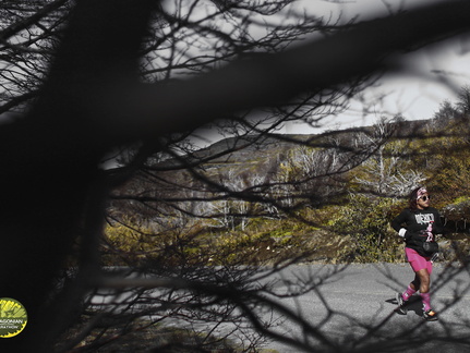 Foto: Alejandro Zoñez