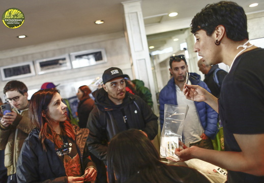 Foto: Alejandro Zoñez