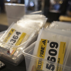 Foto: Alejandro Zoñez