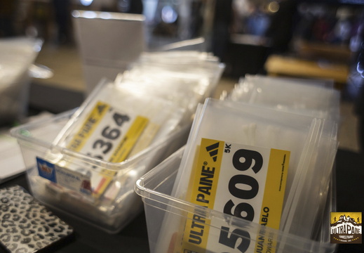 Foto: Alejandro Zoñez