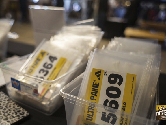 Foto: Alejandro Zoñez