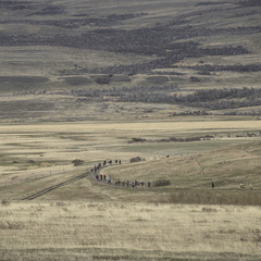 Foto: Christian Miranda