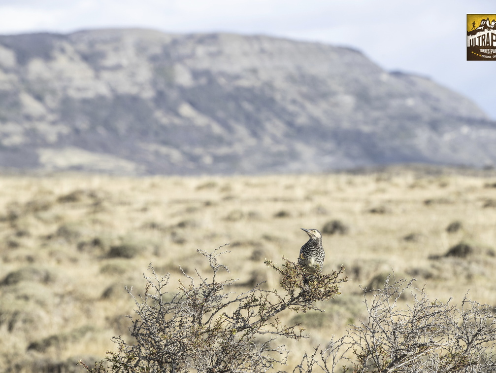 Foto: Christian Miranda