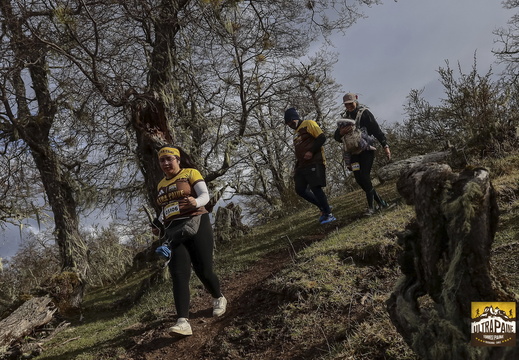 Foto: Alejandro Zoñez