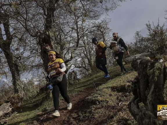 Foto: Alejandro Zoñez