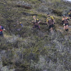 Foto: Alejandro Zoñez