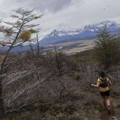 Foto: Alejandro Zoñez