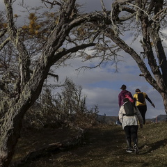 Foto: Alejandro Zoñez