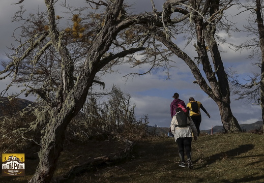 Foto: Alejandro Zoñez