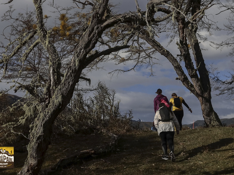 Foto: Alejandro Zoñez