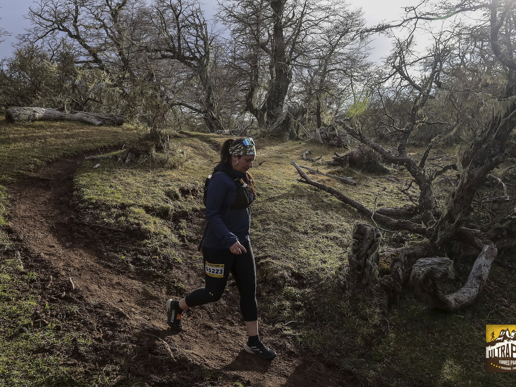 Foto: Alejandro Zoñez