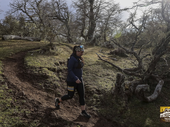 Foto: Alejandro Zoñez