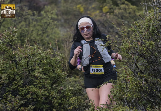 Foto: Alejandro Zoñez