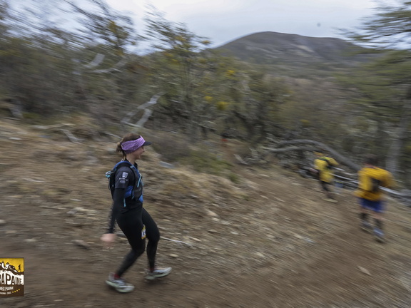 Foto: Alejandro Zoñez