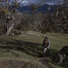 Foto: Alejandro Zoñez