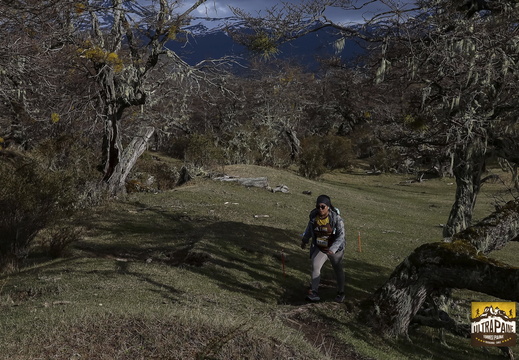 Foto: Alejandro Zoñez