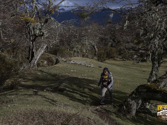 Foto: Alejandro Zoñez