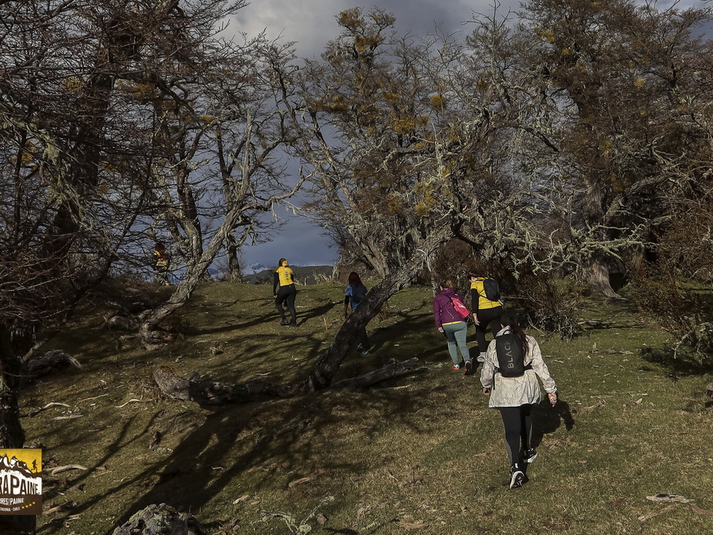 Foto: Alejandro Zoñez