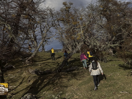 Foto: Alejandro Zoñez