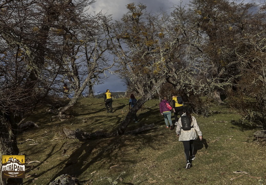 Foto: Alejandro Zoñez