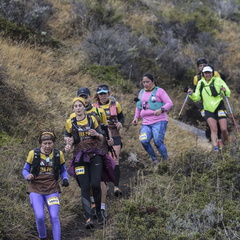 Foto: Alejandro Zoñez