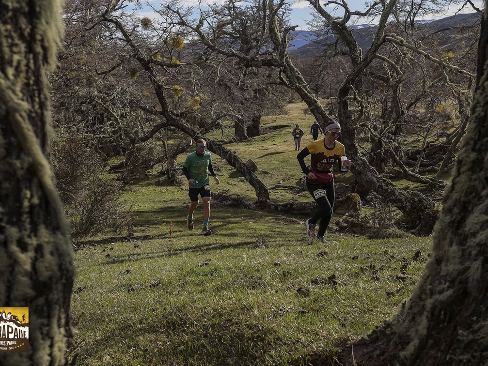 Foto: Alejandro Zoñez