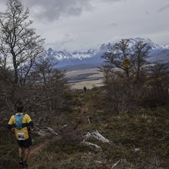 Foto: Alejandro Zoñez