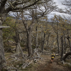 Foto: Alejandro Zoñez