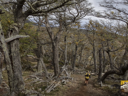 Foto: Alejandro Zoñez