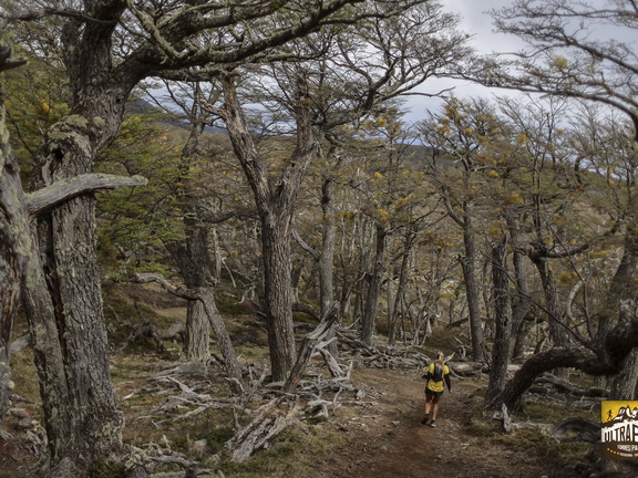 Foto: Alejandro Zoñez