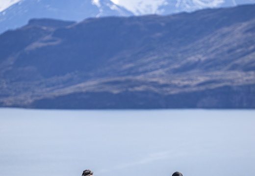 Foto: Clemente Díaz
