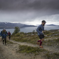 utp2509-waal-3734.jpg