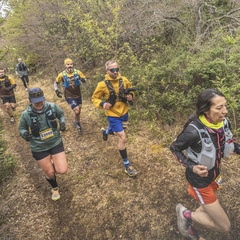 Foto: Eduardo Hernández