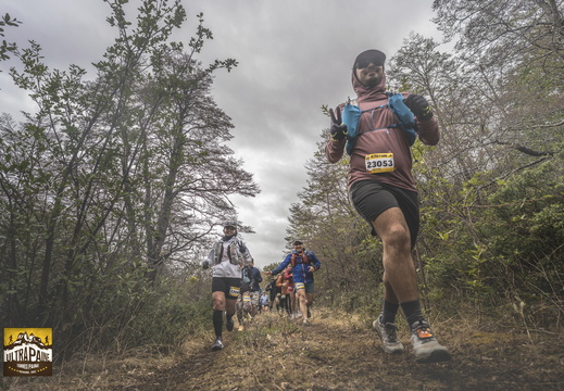 Foto: Eduardo Hernández