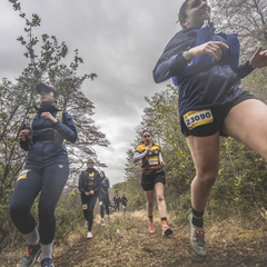 Foto: Eduardo Hernández