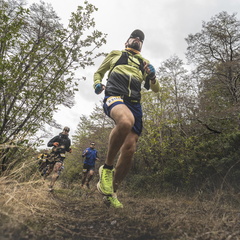 Foto: Eduardo Hernández